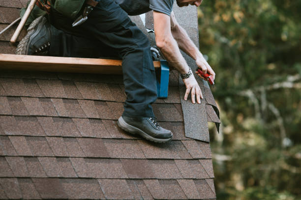 Best Flat Roof Repair Services  in Chicago Ridge, IL